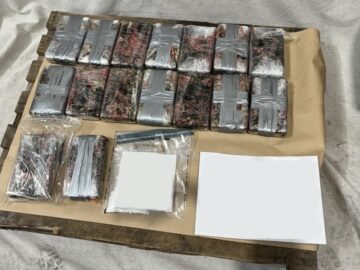 33kgs of cocaine seized at Port of Tauranga