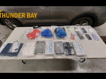 $600K worth of drugs seized in Highway 11/17 traffic stop