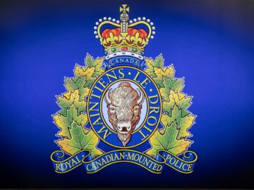 Woman sentenced to 18 months, for money laundering in “milestone” case