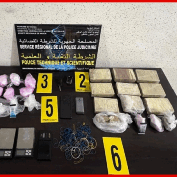 Screenshot 2025 11 17 203521 768x436