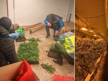 Eurojust Coordinates Takedown of International Drug Ring