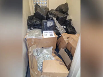 €7M Cannabis Seized in Ireland, Four Arrested