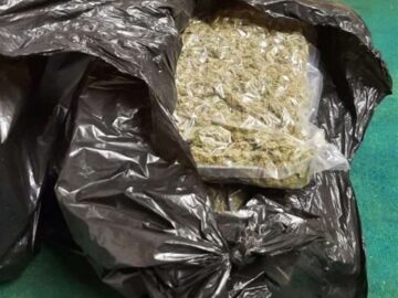 Albanian Couple Jailed After Cannabis and Cash Raid